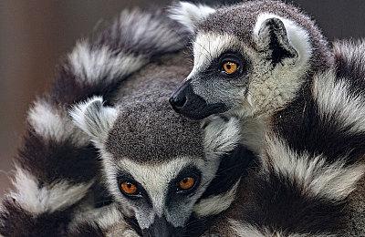 《终点:丧尸幸存者》大型更新6月2日上线 追加多项实用内容